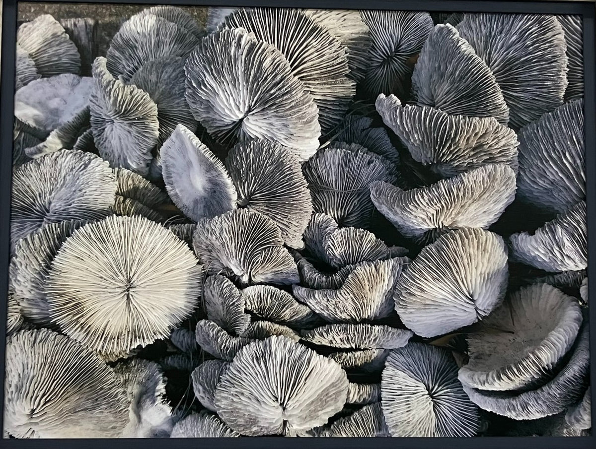 Scratchy Stuff, Canvas Cape May Wicker