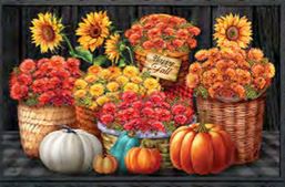 Basket of Mums