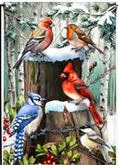 Winter Woodland Birds