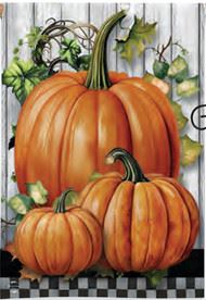 Country Pumpkins House Flag