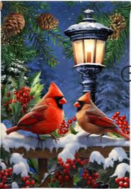 Winter Glow Cardinals House Flag