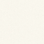 Aquatic Dining Chair