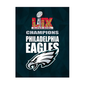 Philadelphia Eagles Super Bowl Garden Flag