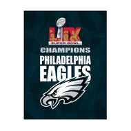 Philadelphia Eagles Super Bowl Garden Flag