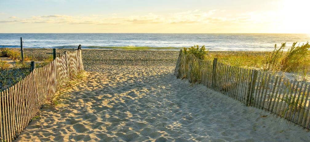 Pathway to Paradise, Canvas