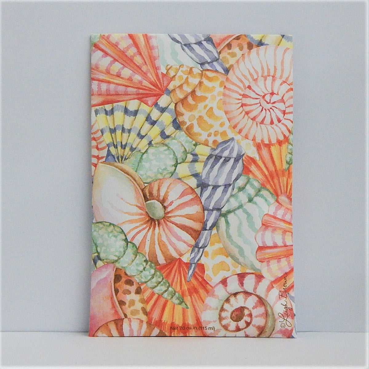 Sea Shells – Cape May Wicker