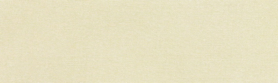 Canvas Canvas