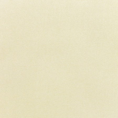 Canvas Canvas
