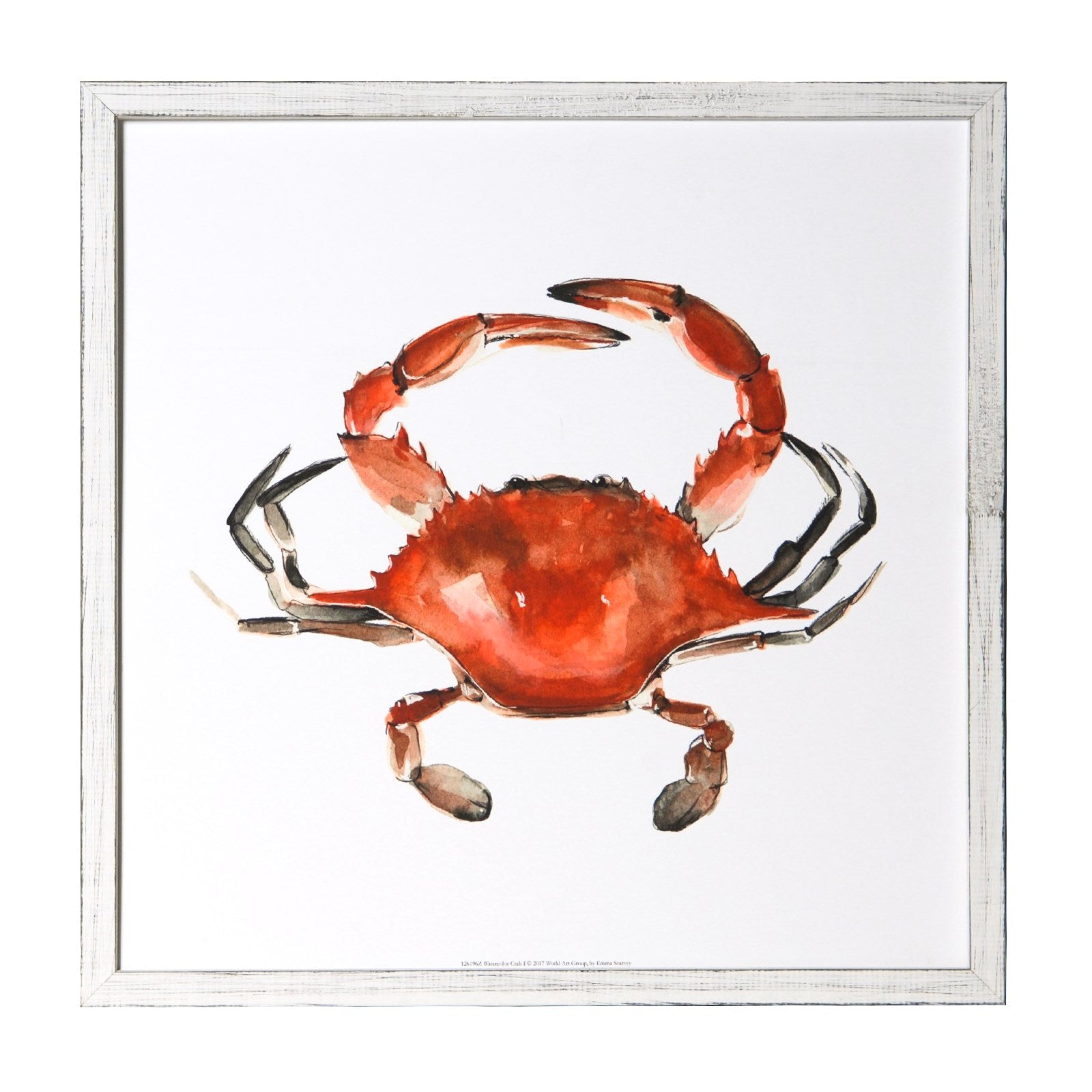 Watercolor Crab 1